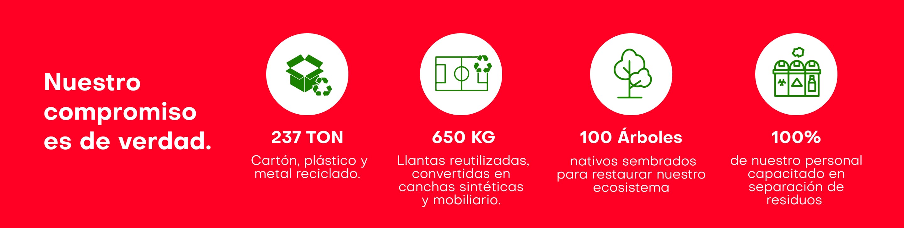 Oferta de verano