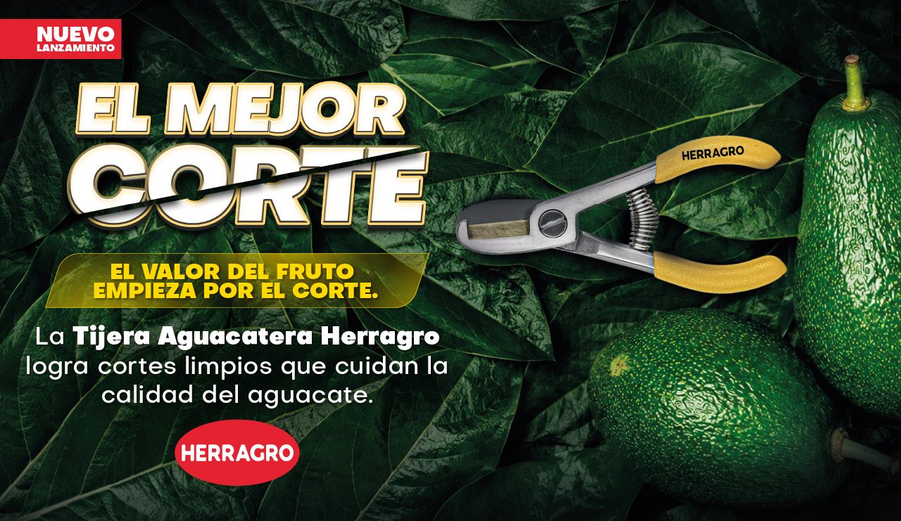 Tienda Virual: Hero